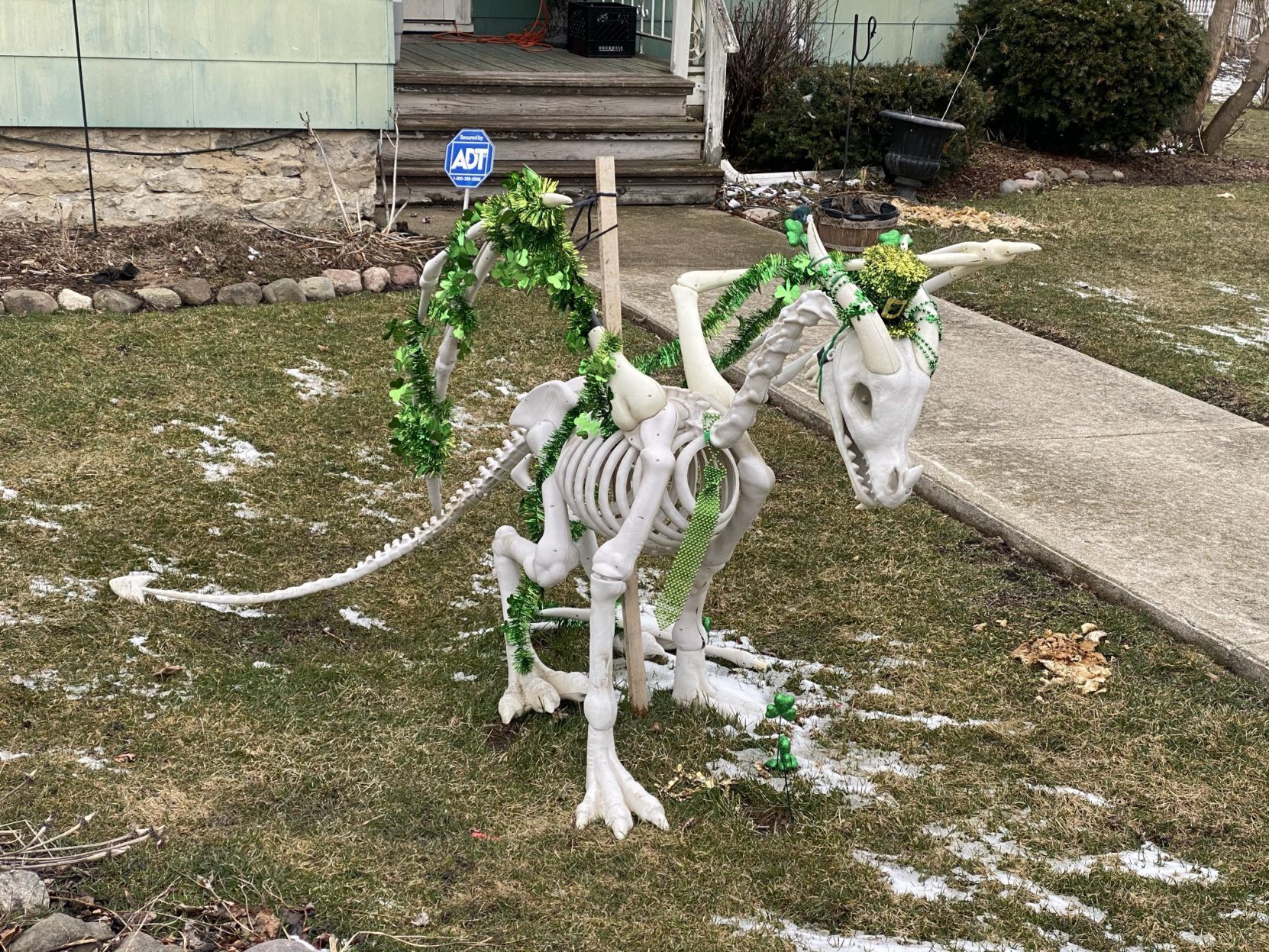 Luck of the Irish... dinosaurs?